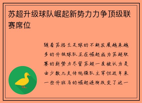 苏超升级球队崛起新势力力争顶级联赛席位